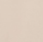 swatch_brown-rice
