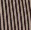 swatch_trace-stripe-chocolate-taupe