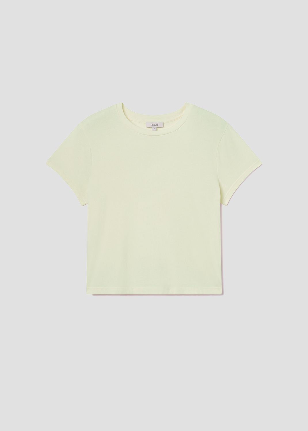 Adine Shrunken Tee in Mint Cream Flat 