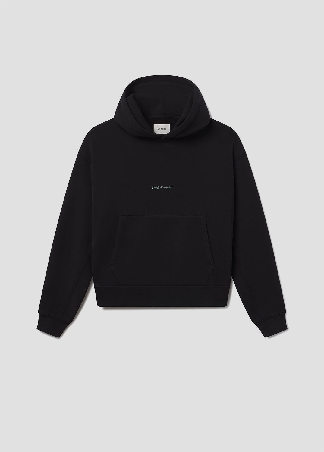 AGOLDE / RSVP Script Hoodie in Black / Mint