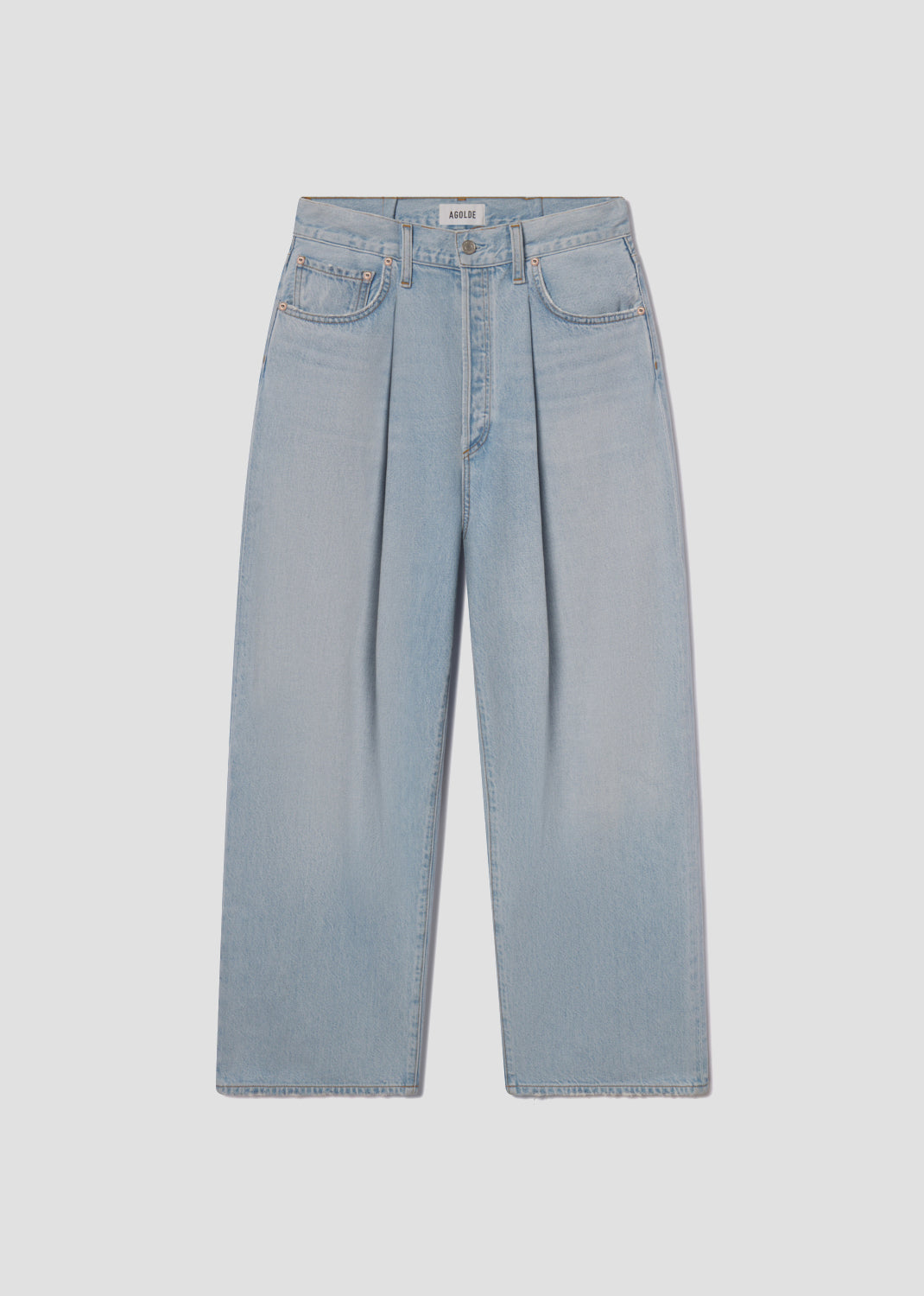Franka Pleat Baggy in Scope flat 
