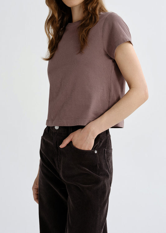 Person wearing a mauve short sleeve crewneck tee on a grey background