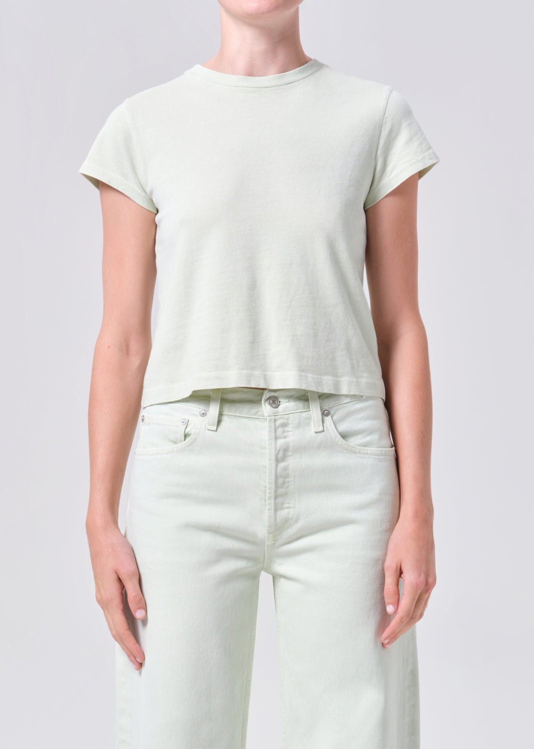 Adine Shrunken Tee in Mint Cream