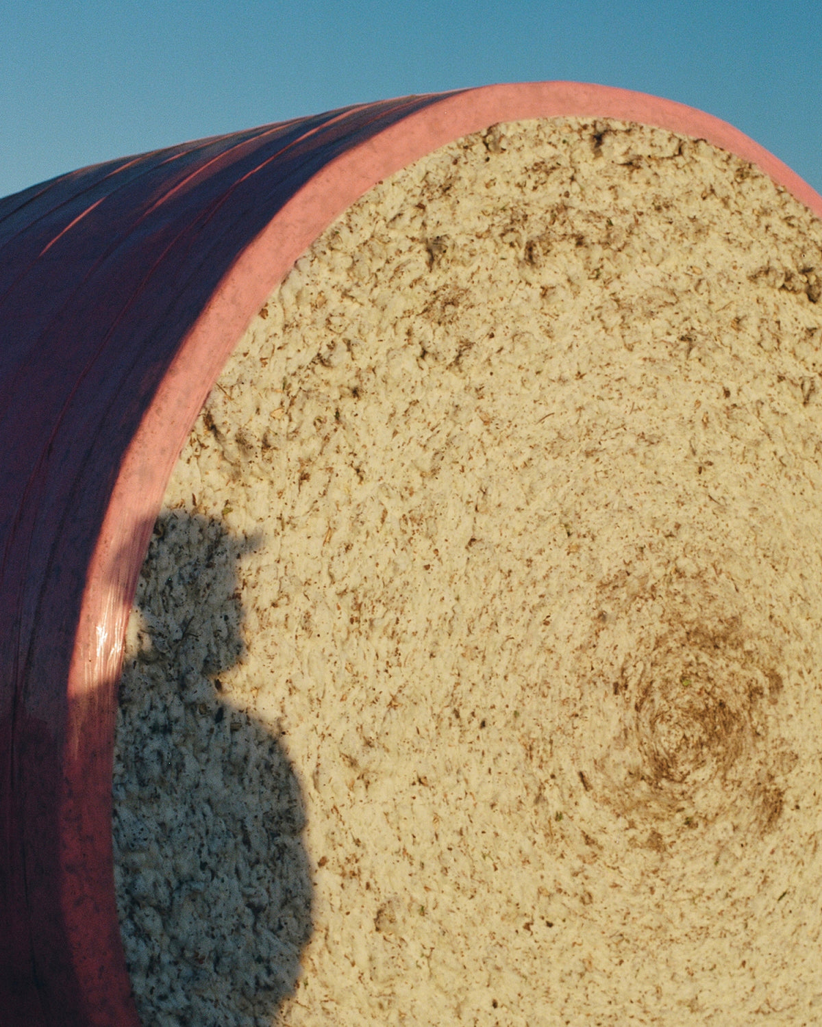 Regenerative Cotton 