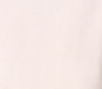 swatch_foundation